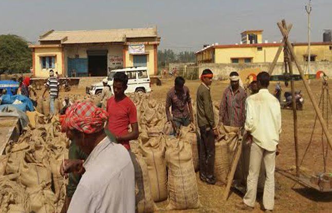 In Chhattisgarh, This Time Too, Paddy Will Be Purchased From December. -  छत्तीसगढ़ में इस बार भी 1 दिसंबर से ही होगी धान खरीदी, न्यूनतम समर्थन मूल्य  को लेकर स्थिति हुई स्पष्ट |