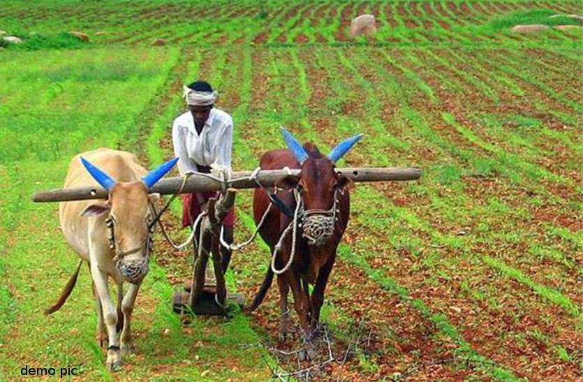 5 acres of land of farmer will not be attached or auction छोटे किसानों के लिए अच्छी खबर, पांच एकड़ तक जमीन अब नहीं हो सकेगी कुर्क व नीलाम