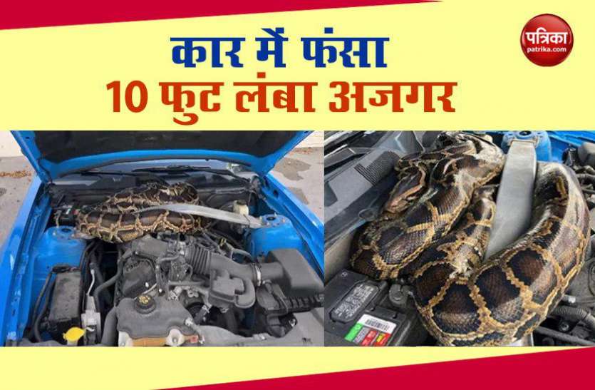 python कार के इंजन में छिपा था 10 फुट का अजगर, ऐसे निकाला बाहर, देखें वीडियो