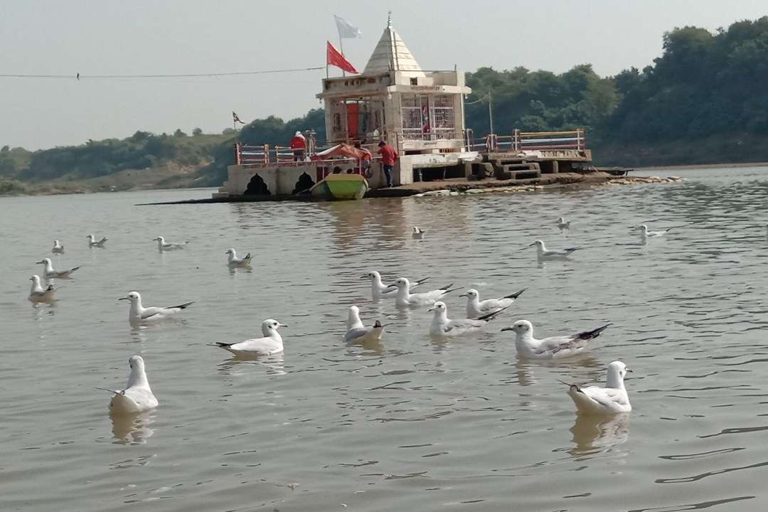 makar sankranti 2021,14 january