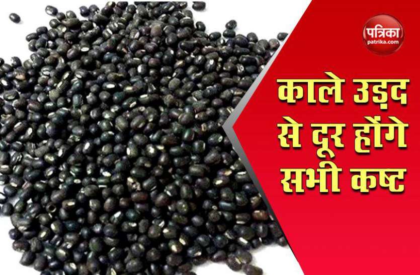 kali urad एक मुट्ठी काले उडद बदल देंगे आपका भाग्य, एक बार जरूर आजमाए