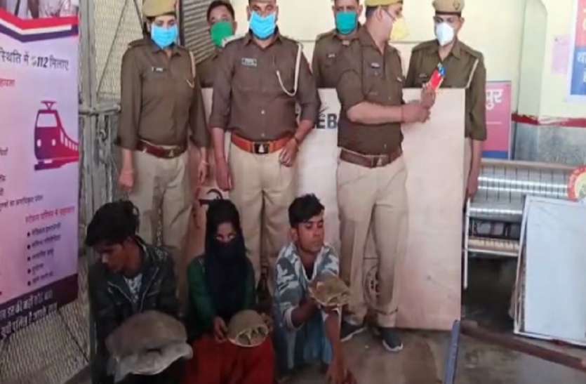 1_6.jpg दीपावली पर तस्कर बेचने के लिए ले जा रहे थे कछुआ, जीआरपी रेलवे ने किया गिरफ्तार