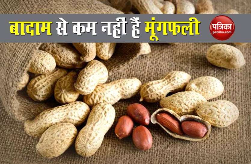 peanuts बादाम से कम नहीं हैं मूंगफली: अंडे या नॉनवेज से ज्यादा प्रोटीन, शरीर के लिए है बहुत फायदेमंद