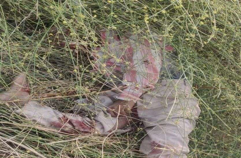 ट्रेलर की टक्कर से बाइक सवार दो युवकों की मौत ट्रेलर की टक्कर से बाइक सवार दो युवकों की मौत