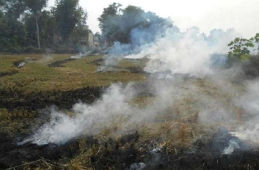 7.jpg यूपी प्रदूषण नियंत्रण बोर्ड का अलर्ट, पंजाब की पराली प्रदूषित करेगी उत्तर प्रदेश और दिल्ली की हवा
