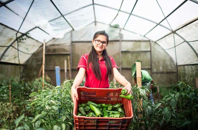 बेटियों को मिलेगी ऑनलाइन प्रोत्साहन राशि बेटियों को मिलेगी ऑनलाइन प्रोत्साहन राशि