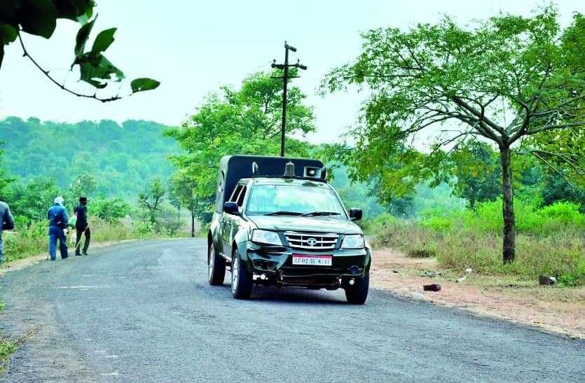 जागरण लेक सिटी यूनिवर्सिटी रोड पर आया बाघ, रास्ता किया बंद जागरण लेक सिटी यूनिवर्सिटी रोड पर आया बाघ, रास्ता किया बंद