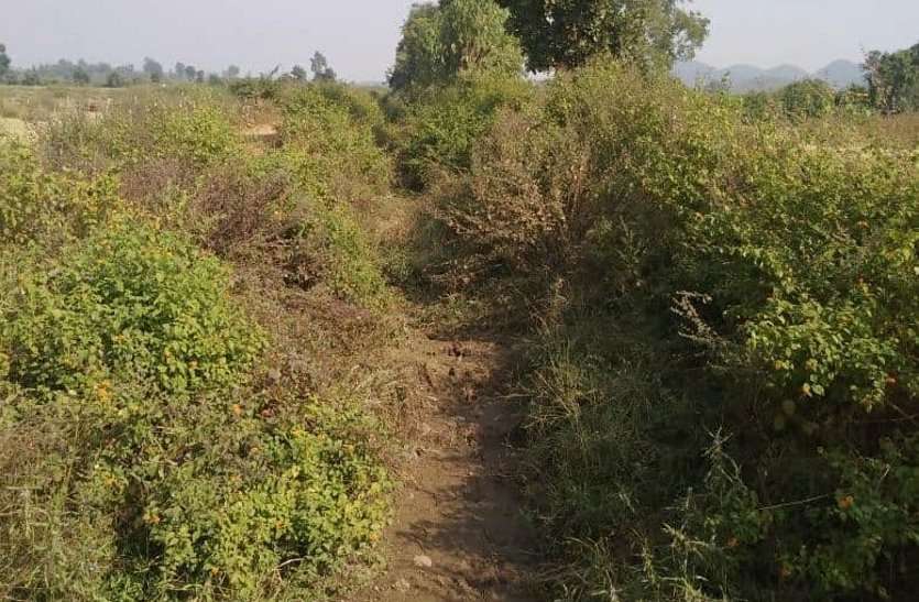 किसानों को पलेवा के लिए पानी की जरूरत, सूखी पड़ीं नहरें, नहीं हो रही सफाई किसानों को पलेवा के लिए पानी की जरूरत, सूखी पड़ीं नहरें, नहीं हो रही सफाई