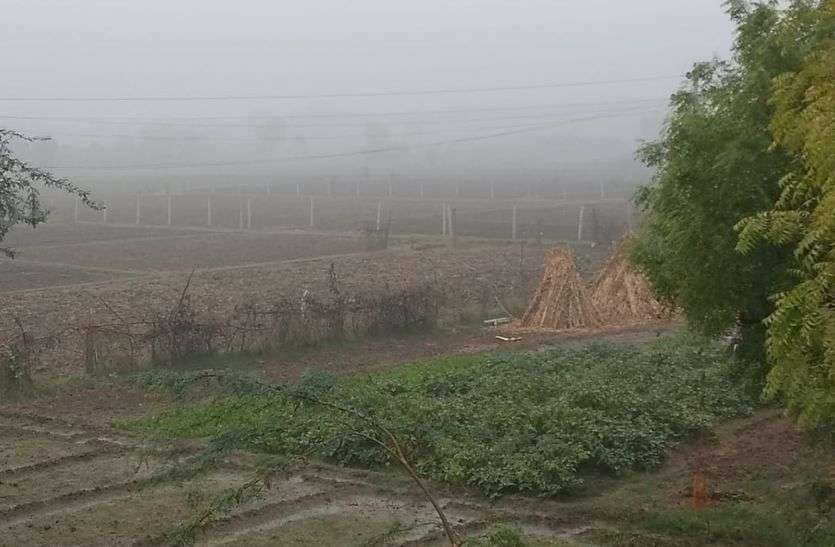 शीतलहर से छूटी कंपकंपी शीतलहर से छूटी कंपकंपी