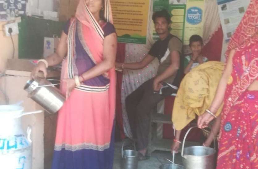 25 रुपए किलो में महिलाएं बेचती थी दूध, 5वीं पास सोना ने डेयरी कलेक्शन सेंटर खोल दिलाया मुनाफा 25 रुपए किलो में महिलाएं बेचती थी दूध, 5वीं पास सोना ने डेयरी कलेक्शन सेंटर खोल दिलाया मुनाफा