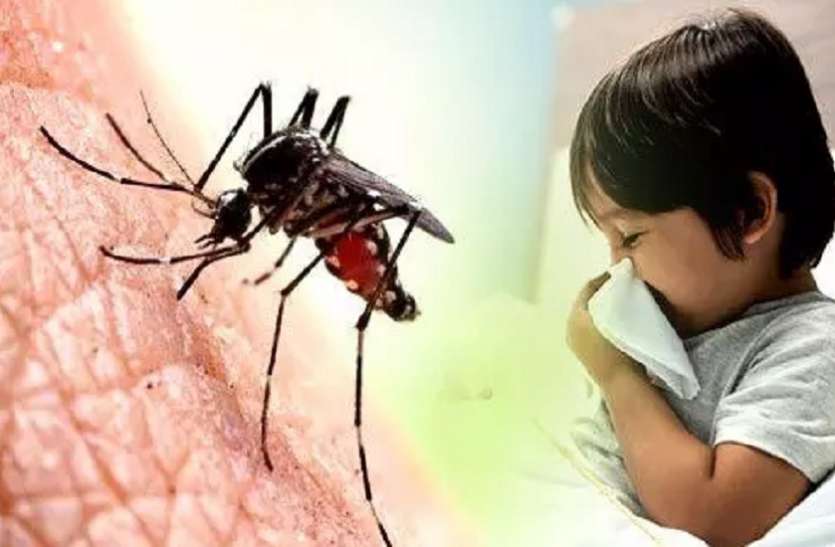 mosquito borne diseases पूर्ण लॉकडाउन में बरती गईं सावधानियों से इन रोगों में आई कमी