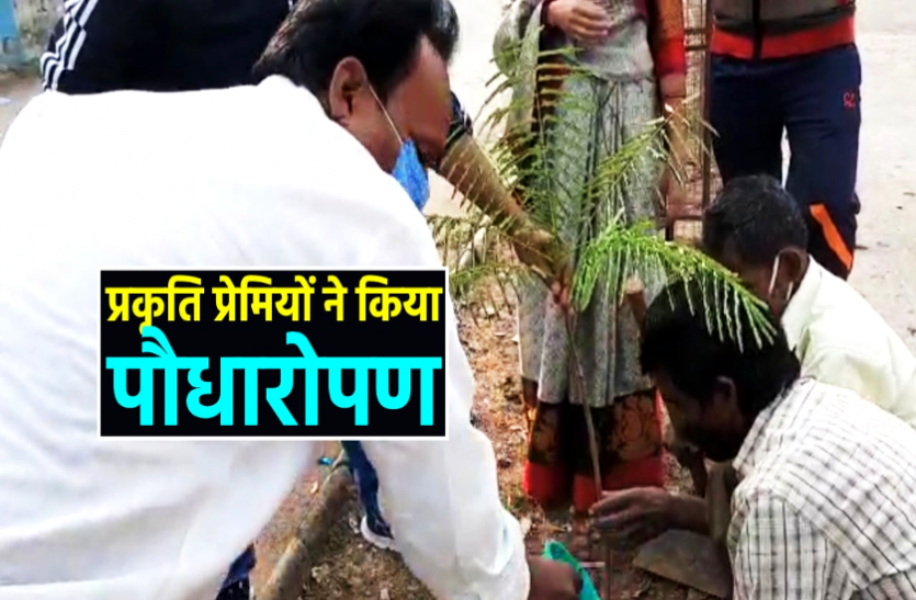 news प्रकृति प्रेमियों ने पौधारोपण कर'कोरोना पार्क' का शुभारंभ किया, हर पेड़ लिया गया गोद