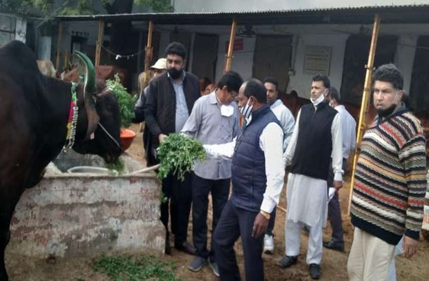नवाब सभी धर्मों का आदर करते थे-हामिद नवाब सभी धर्मों का आदर करते थे-हामिद