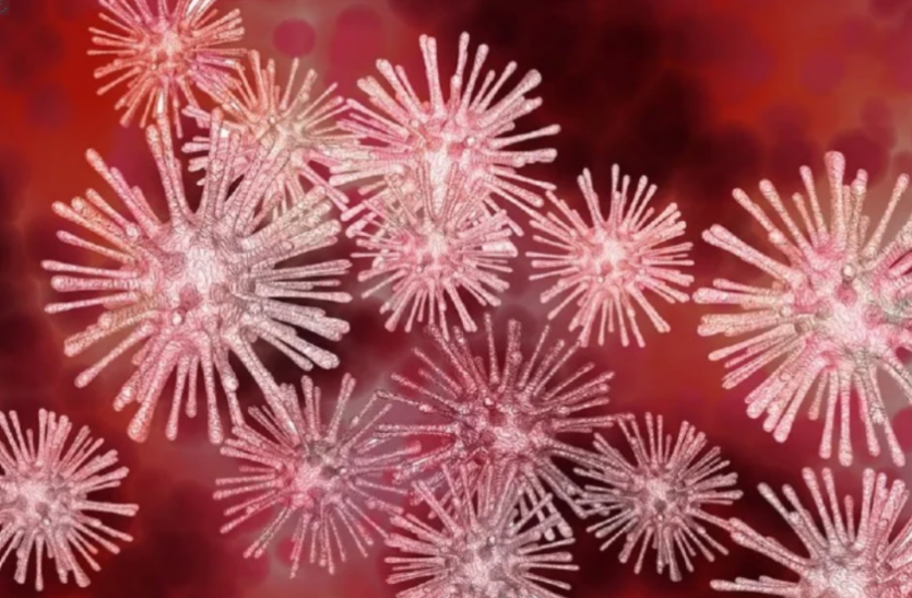Chapare virus सावधान: कोरोना के बाद अब एक और खतरनाक वायरस का पता चला, इंसानों से इंसानों में फैलता है संक्रमण