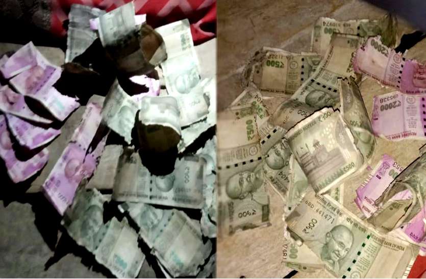 Currency खेत में मिले 500 व 2000 रुपये के नोट तो मची लूट, जिसे जितना मिला बटोर ले गया