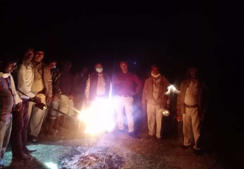 कोरिया में दो दल में 74 हाथी, 15 किसानों की रौंद डाली फसलें, 5 घर तोड़े और मवेशी को भी मार डाला