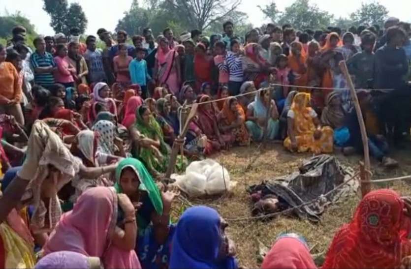 गांव के चारो तरफ रहता है बाघों का मूवमेंट, संजय टाइगर रिजर्व के साथ बांधवगढ़ नेशनल पार्क का है कॉरीडोर गांव के चारो तरफ रहता है बाघों का मूवमेंट, संजय टाइगर रिजर्व के साथ बांधवगढ़ नेशनल पार्क का है कॉरीडोर