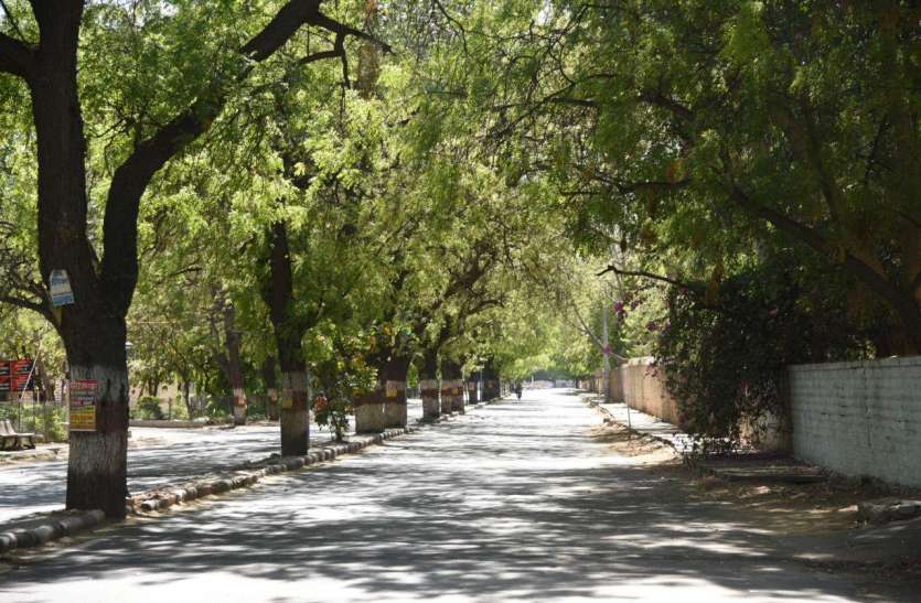 जयपुर-जोधपुर में पहाड़ों जैसी साफ हवा जयपुर-जोधपुर में पहाड़ों जैसी साफ हवा