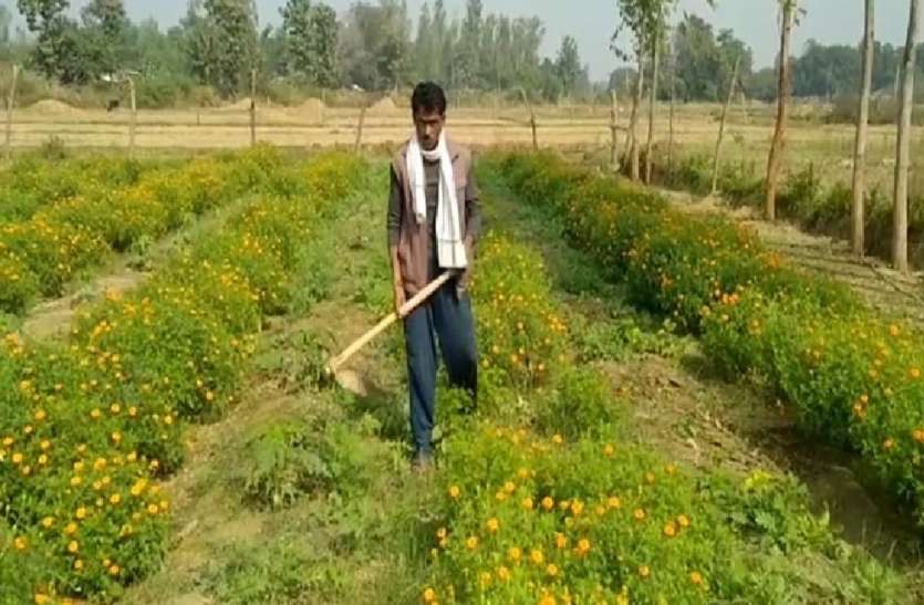 नई पहल, लॉकडाउन में छिना रोजगार, तो गांव में फूलों की खेती से बदल डाली अपनी तकदीर नई पहल, लॉकडाउन में छिना रोजगार, तो गांव में फूलों की खेती से बदल डाली अपनी तकदीर