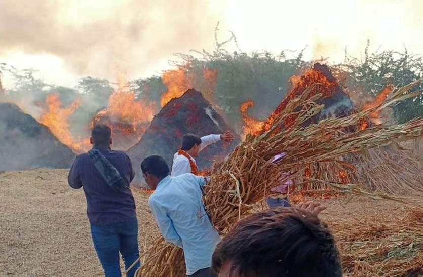 आग में 10 ट्रॉली चारा जलकर हुआ राख आग में 10 ट्रॉली चारा जलकर हुआ राख