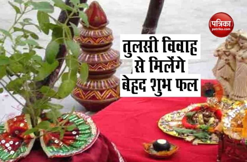 Tulsi Vivah 2020 तुलसी विवाह से मिलेंगे बेहद शुभ फल, लेकिन कुंवारे लड़के-लड़कियां नहीं कर सकते इसकी पूजा