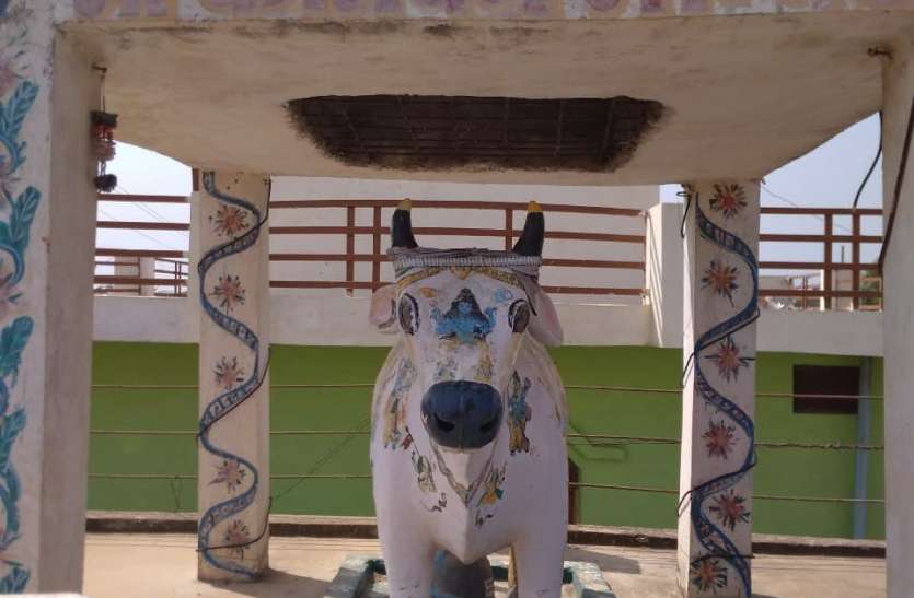 गोवंश वृद्धि और समृद्धि के लिए बनवाया गो माता का मंदिर गोवंश वृद्धि और समृद्धि के लिए बनवाया गो माता का मंदिर
