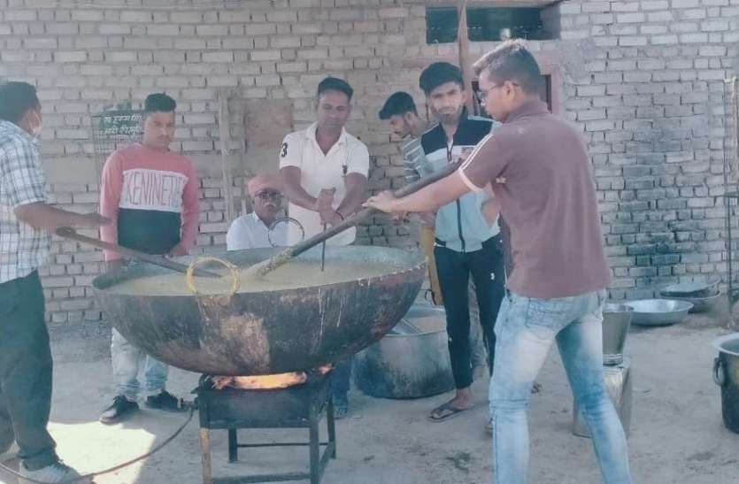 गायों का करेंगे पूजन, जिमाएंगे लापसी गायों का करेंगे पूजन, जिमाएंगे लापसी