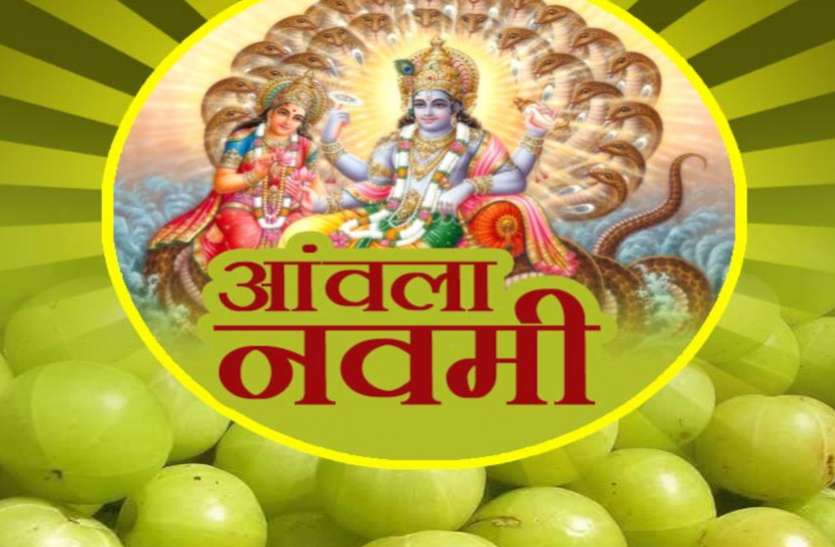 Amla Navami Importance Significance And Facts Axay Navami 2020 Amla Navami 2020 अक्षय यौवन प्राप्त करने का दिन, इस तरह व्रत और पूजा करने से मिलेगी विष्णुजी की कृपा