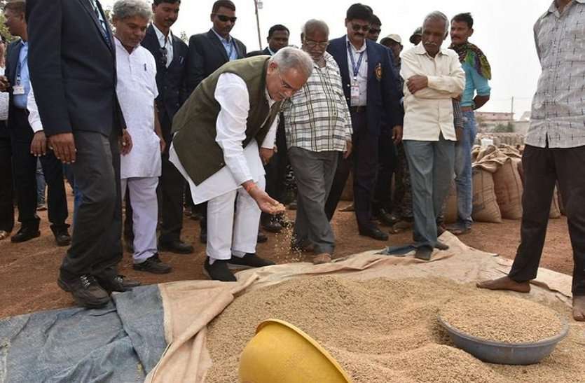धान खरीदी से पहले सरकार का सख्त कदम, इस बार मिलर्स नहीं ला सकेंगे दूसरे प्रदेशों से धान, आयात पर लगाया प्रतिबंध धान खरीदी से पहले सरकार का सख्त कदम, इस बार मिलर्स नहीं ला सकेंगे दूसरे प्रदेशों से धान, आयात पर लगाया प्रतिबंध