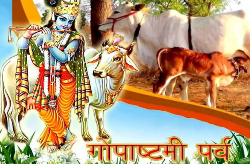 Importance Of Gopashtami Worship Of Cow Gau Mata Puja Vidhi Gopashtami 2020 गाय की पूजा और दूधवालों के सम्मान का दिन, इस शुभ मुहूर्त में करें गौमाता की पूजा