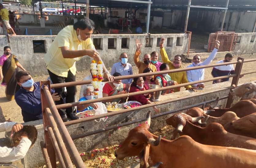 SURAT NEWS: गोविंद बोलो हरि गोपाल बोलो...गोशाला में गूंजा SURAT NEWS: गोविंद बोलो हरि गोपाल बोलो...गोशाला में गूंजा