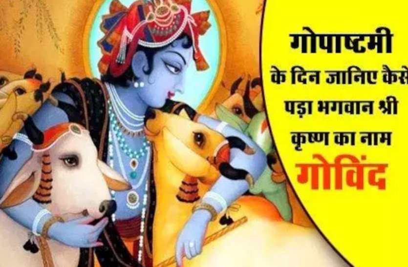 Cow And Govind Puja Vidhi Story Of Gopashtami Gopashtami Story कन्हैया ने इसी दिन शुरू किया था गाय चराना, जानें श्रीकृष्ण के गोविंद बनने और राधा के ग्वाला बनने की कथा