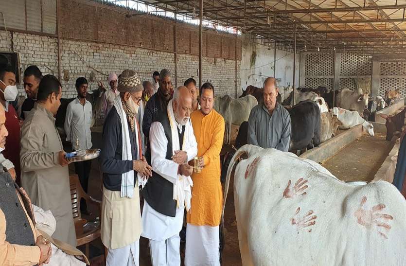 गोपाष्टमी पर गौशालाओं में हुआ पूजन, दिलाया गया संकल्प गोपाष्टमी पर गौशालाओं में हुआ पूजन, दिलाया गया संकल्प