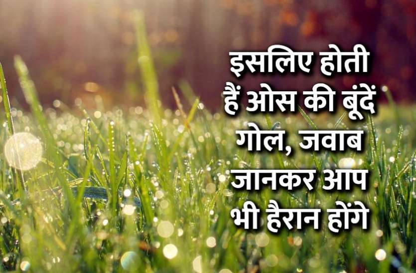science_questions_answer_in_hindi.jpg इसलिए होती हैं ओस की बूंदें गोल, जवाब जानकर आप भी हैरान होंगे