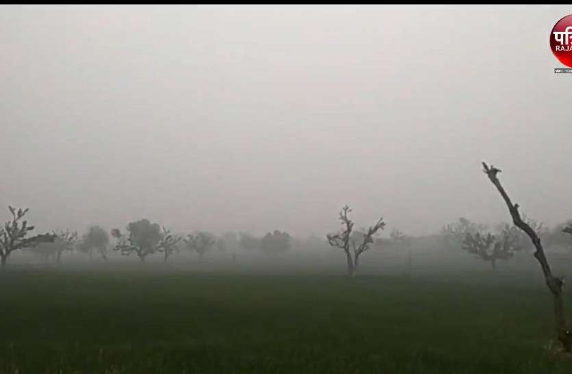 winter_2.jpg शेखावाटी में ठंड का थर्ड डिग्री टॉर्चर, टूटे रेकॉर्ड