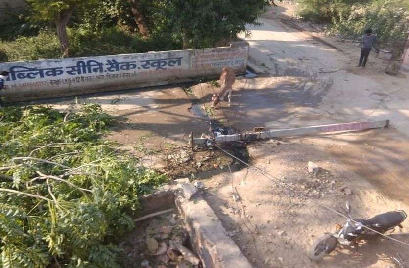पेड़ काटते समय बिजली का पोल टूटा, बड़ा हादसा टला पेड़ काटते समय बिजली का पोल टूटा, बड़ा हादसा टला