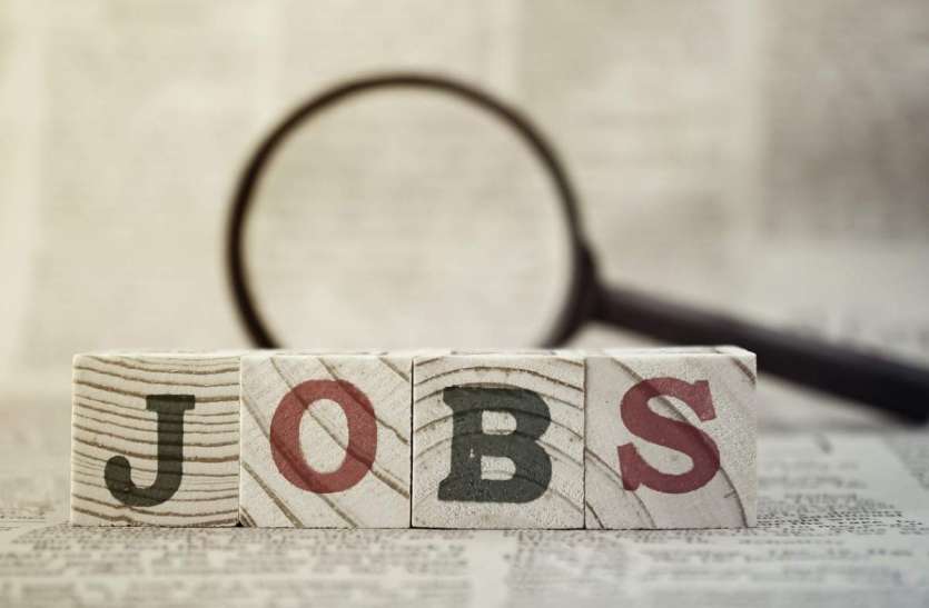 job.jpg बेराेजगार युवाओं के लिए शुरू हाेने जा रही बड़ी याेजना, ऑन लाइन करें आवेदन