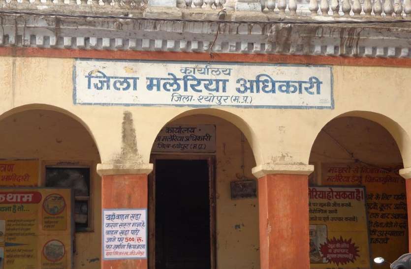 इस वर्ष 82 फीसदी घटी मलेरिया मरीजों की संख्या इस वर्ष 82 फीसदी घटी मलेरिया मरीजों की संख्या