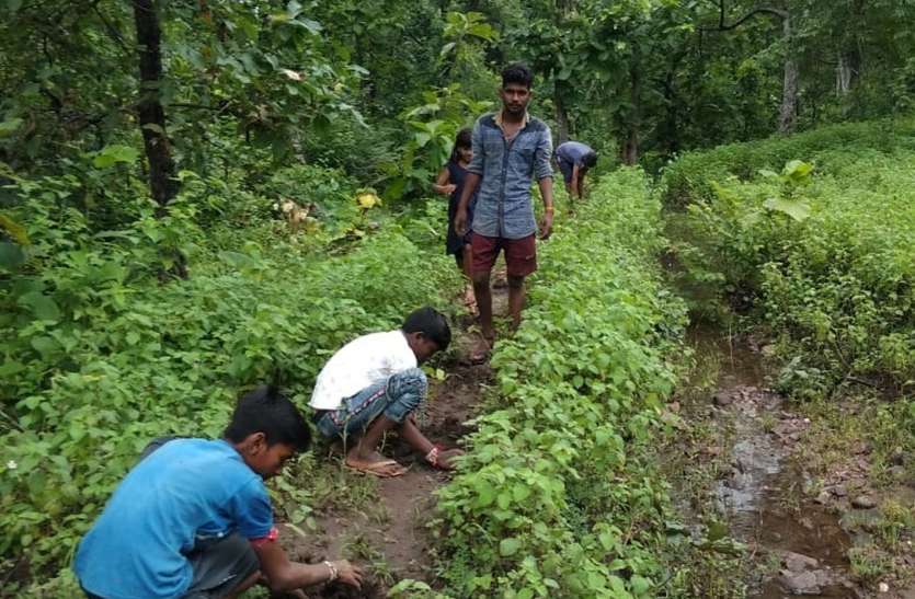 Plantation in forest Precedent - शिक्षक ने अध्यापन के साथ बीस वर्ष में एक लाख पौधों का कर डाला रोपण