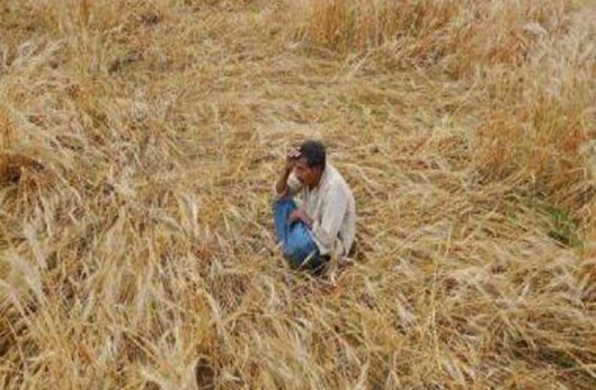 azamgarh news अगर पराली से परेशान हैं तो उठाएं यह कदम, फ्री में मिलेगी अवशेष सड़ाने की दवा