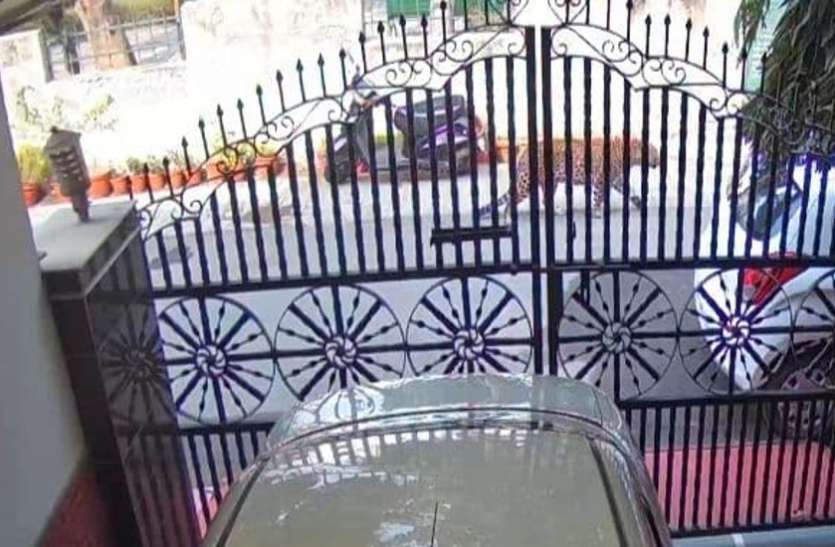 ghaziabad.jpg VIP कॉलोनी में घूमता तेंदुआ CCTV में कैद, लोगों को घरों में रहने की चेतावनी, वन विभाग तलाश में जुटा