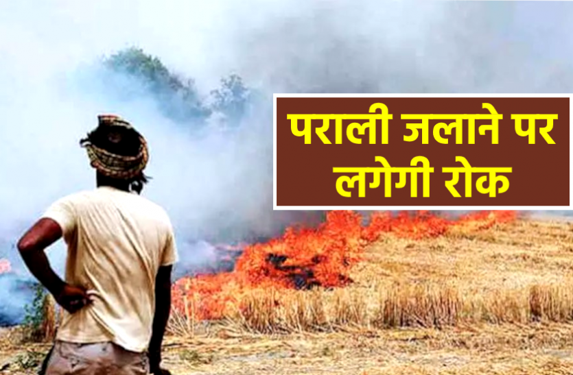 News अब मध्य प्रदेश में पराली जलाने पर लगेगी रोक, बायोगैस बनाने के लिए लगाए जाएंगे प्लांट