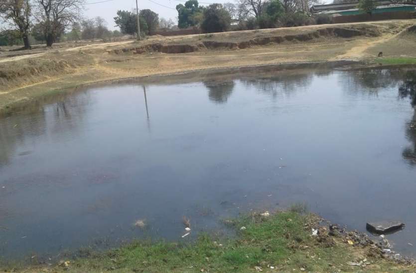 The existence of the pond being encroached upon by encroachment and fi अतिक्रमण और गंदगी से सिमटता जा रहा तालाब का अस्तित्व
