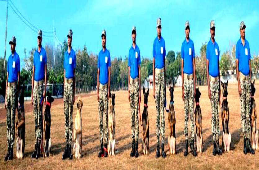 छत्तीसगढ़ पुलिस के 24 स्पेशल डॉग्स को मिली नक्सल एरिया में पोस्टिंग, रवागनी से पहले फेयरवेल पार्टी में दिया सर्टिफिकेट छत्तीसगढ़ पुलिस के 24 स्पेशल डॉग्स को मिली नक्सल एरिया में पोस्टिंग, रवानगी से पहले फेयरवेल पार्टी में दिया सर्टिफिकेट