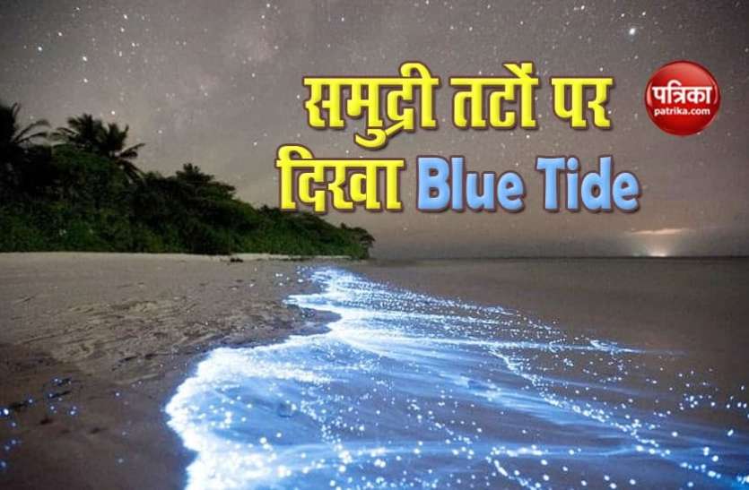 Blude tide in Maharashtra जानिए क्यों चर्चा में है Blue Tide, देश के इन समुद्री तटों पर दे रहा दिखाई