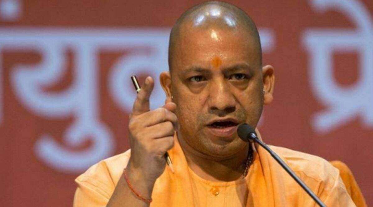 yogi_2.jpg