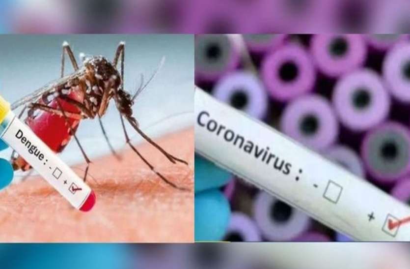 denguecorona.jpg Dengue Panic: कोरोना संक्रमण के बीच डेंगू की दहशत, बीते 24 घंटे में 22 और मरीज रिपोर्ट, अब तक 195