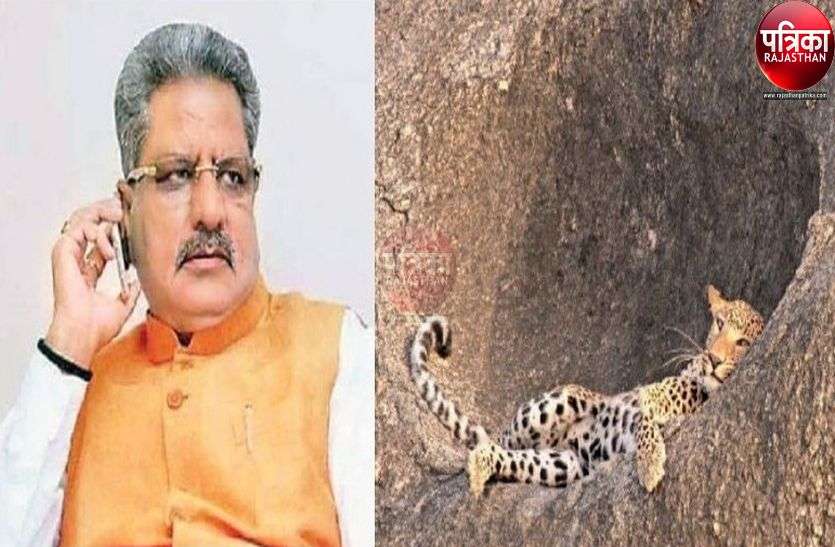 राज्यसभा सदस्य माथुर का सीएम गहलोत से आग्रह, जवाई पैंथर कंजर्वेशन को राजसमंद रेंज को सौंपें राज्यसभा सदस्य माथुर का सीएम गहलोत से आग्रह, जवाई पैंथर कंजर्वेशन को राजसमंद रेंज को सौंपें