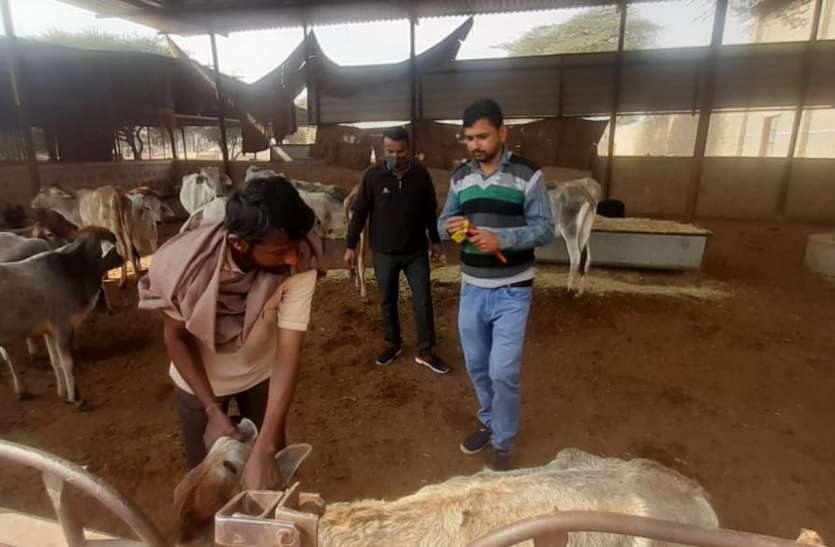 मनाया दुग्ध दिवस, हुई विचार गोष्ठी मनाया दुग्ध दिवस, हुई विचार गोष्ठी
