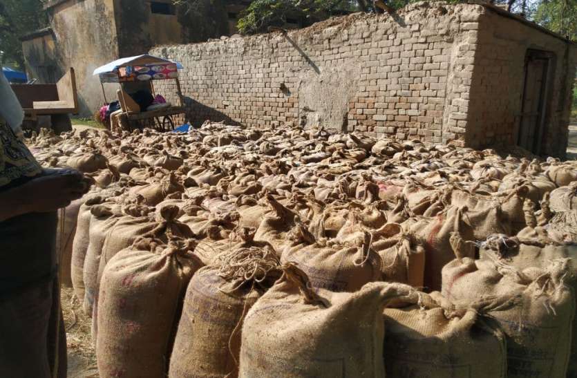 kisan_1.jpg धान खरीदी में लापरवाही पर कानपुर और सोनभद्र के RM निलंबित